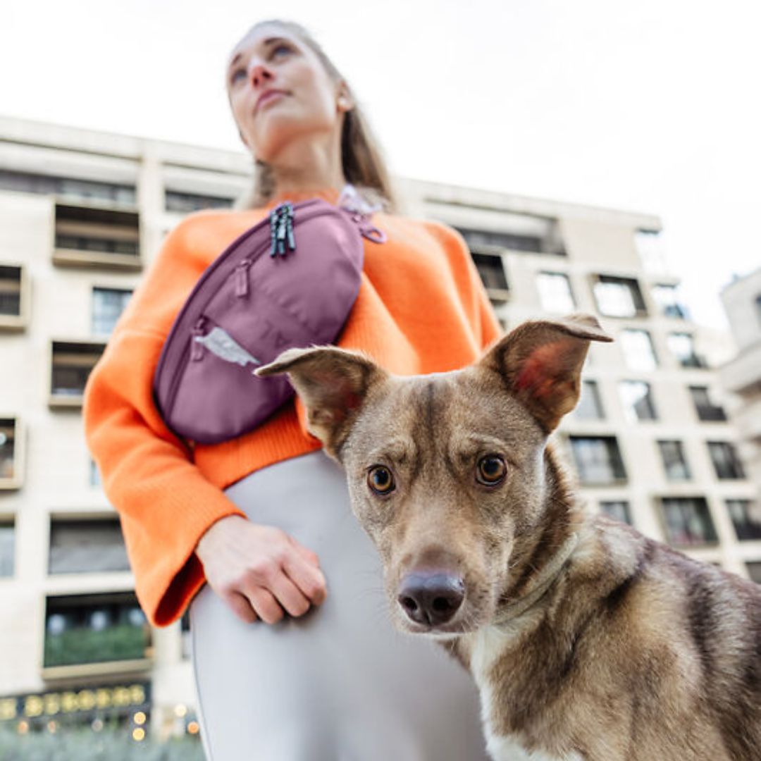 Palopa-Leckerlibeutel-Gassitasche-Emma-Berry-Mood2