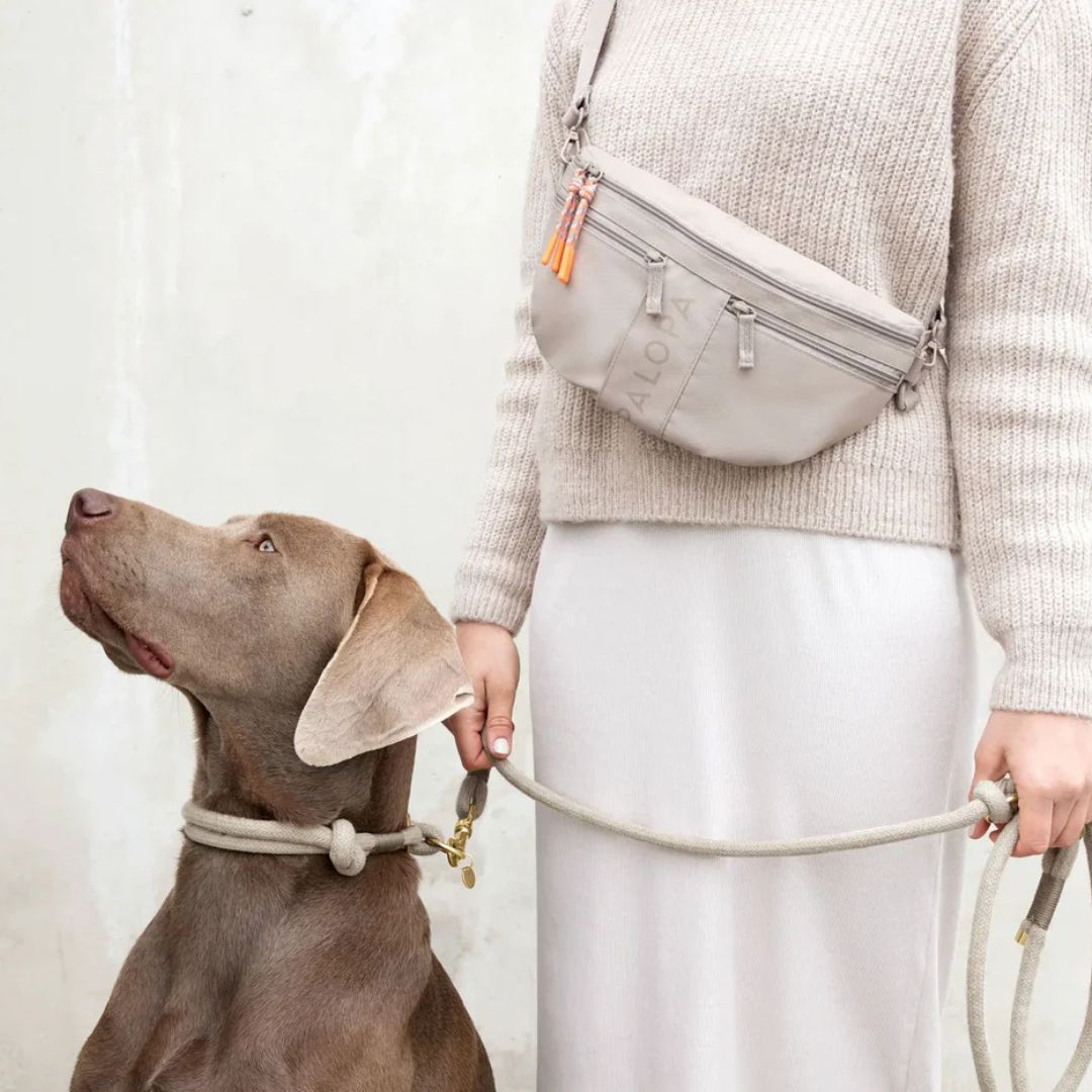 Palopa-Leckerlibeutel-Gassitasche-Emma-Taupe-Mood2