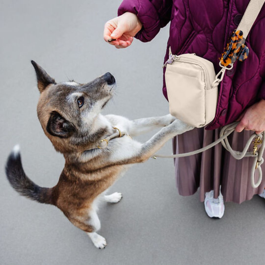 Palopa-Leckerlibeutel-Greta-Creme-Mood