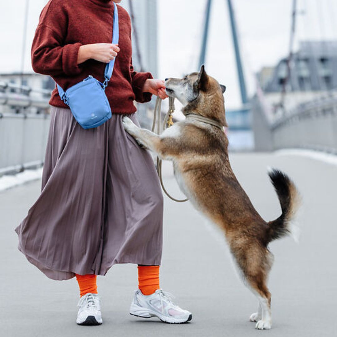 Palopa-Leckerlibeutel-Greta-Sky-Blue-Mood3