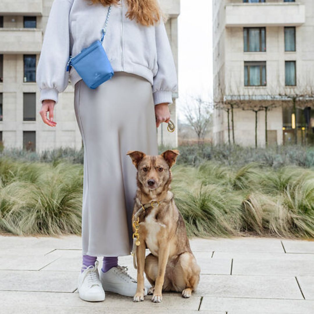 Palopa-Leckerlibeutel-Karl-Sky-Blue-Mood2