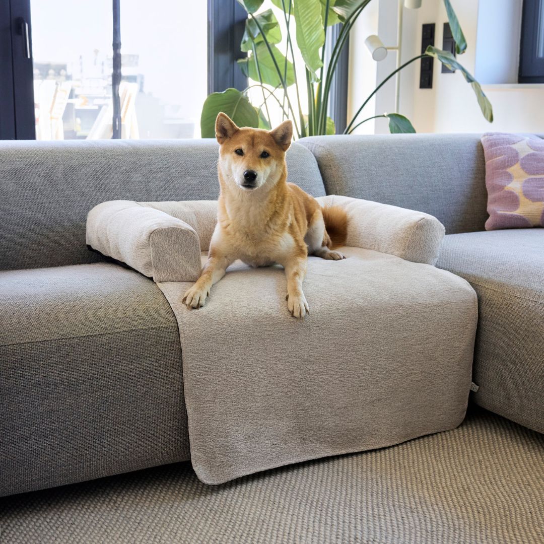 Palopa-Sofa-Schutzmatte-Rika-Beige-Hund