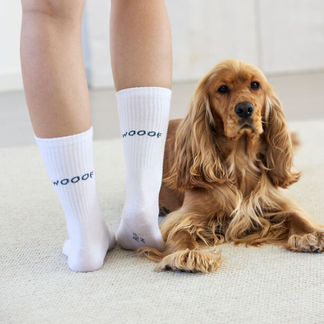 Palopa-Tennissocken-Lettering-Blue-Grey-Mood