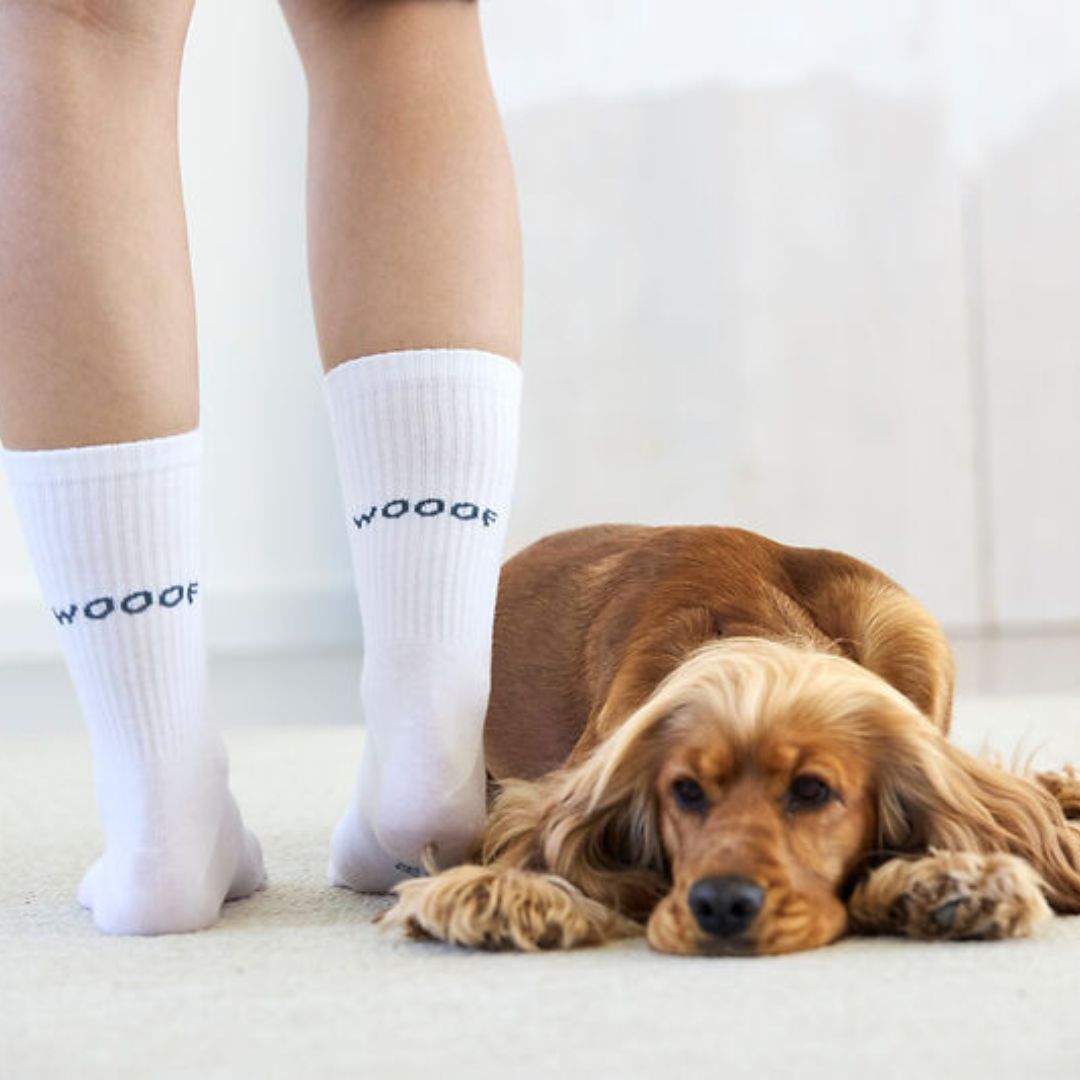 Palopa-Tennissocken-Lettering-Blue-Grey-Mood2