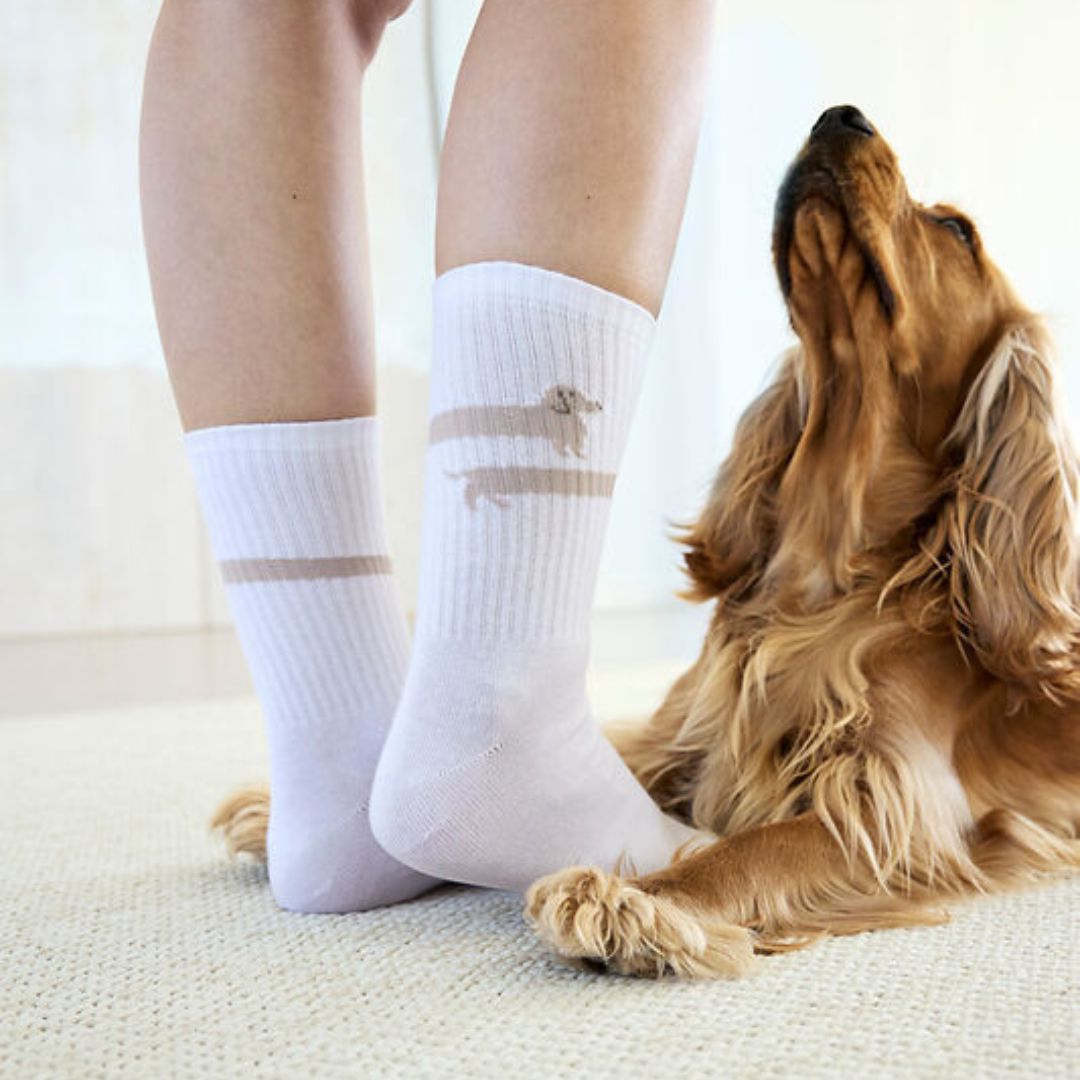 Palopa-Tennissocken-Long-Badger-Dog-Mood