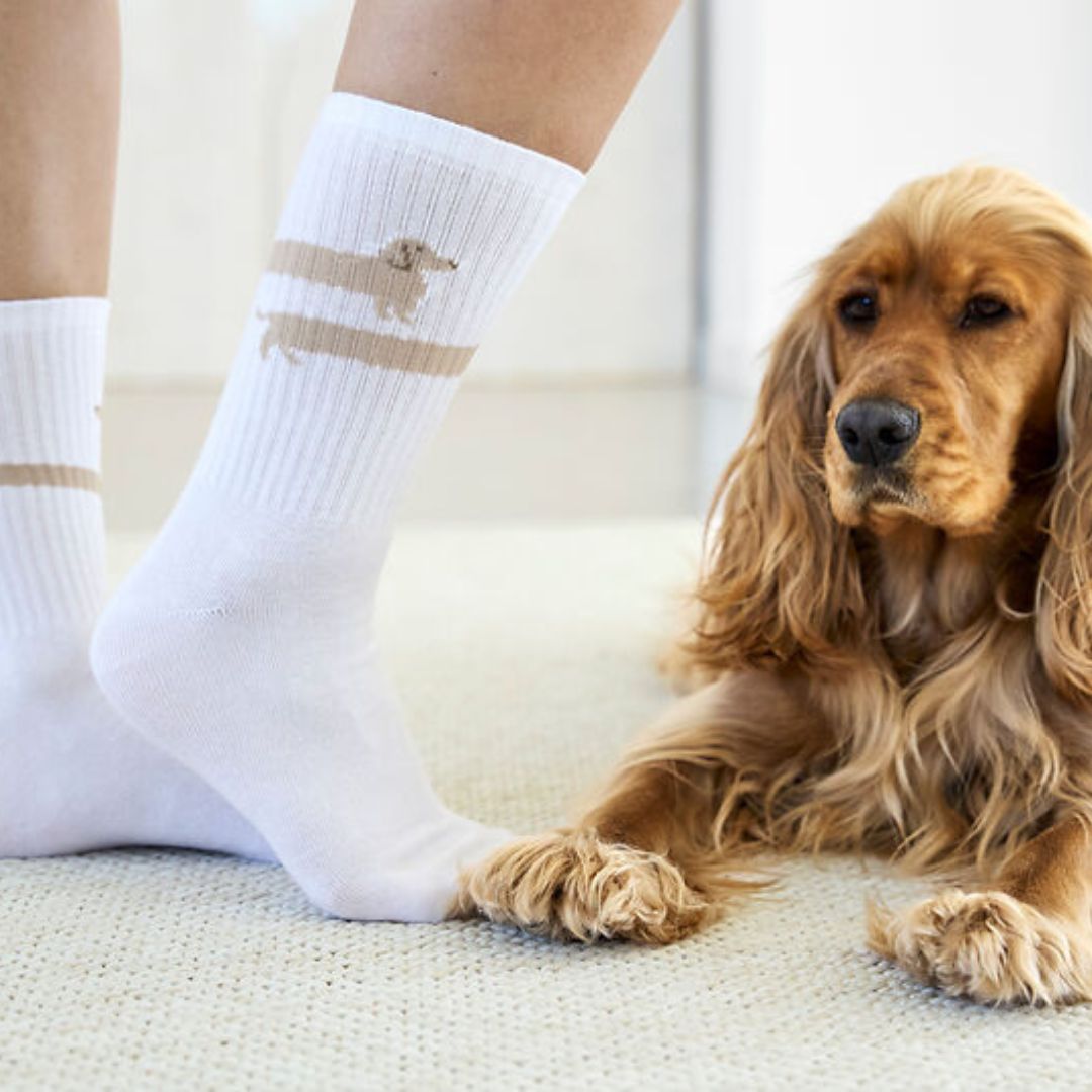 Palopa-Tennissocken-Long-Badger-Dog-Mood2