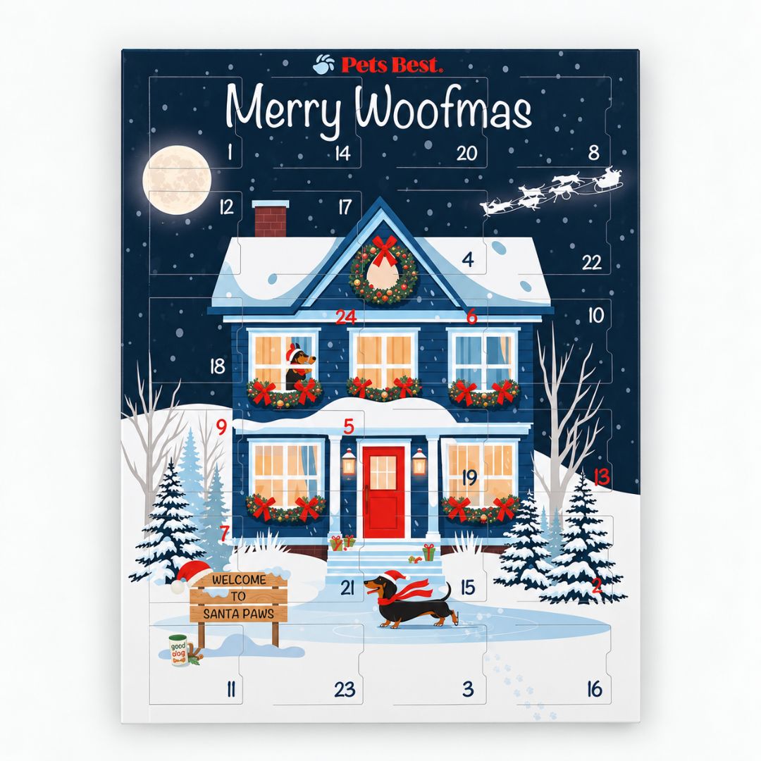 PetsBest-Hundeadventskalender-Santas-Moonlight-Skates