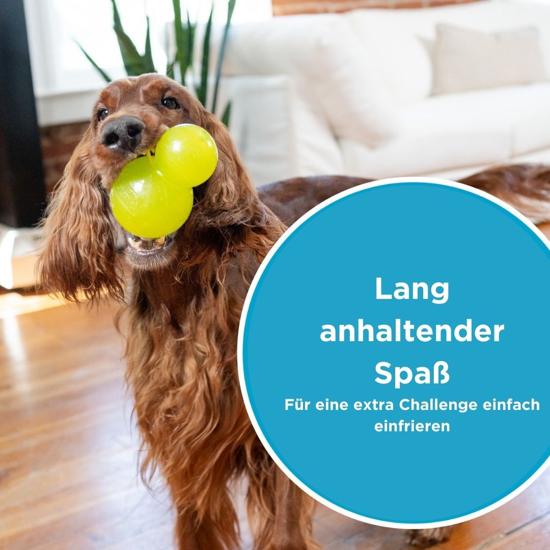 Planet-Dog-Outward-Hound-Double-Tuff-Large-Green-Mood