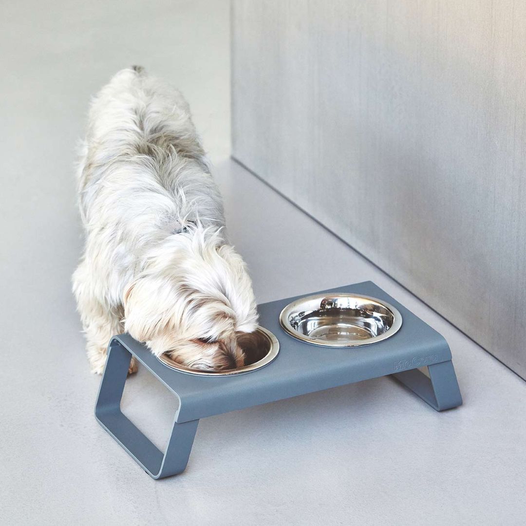 Desco Napfständer Grau