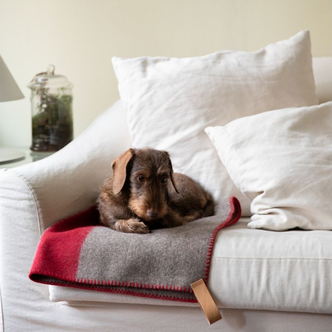 2.8-duepuntootto-design-for-dogs-Hundedecke-Ansel-recycelte-Wolle-Rot-Hund