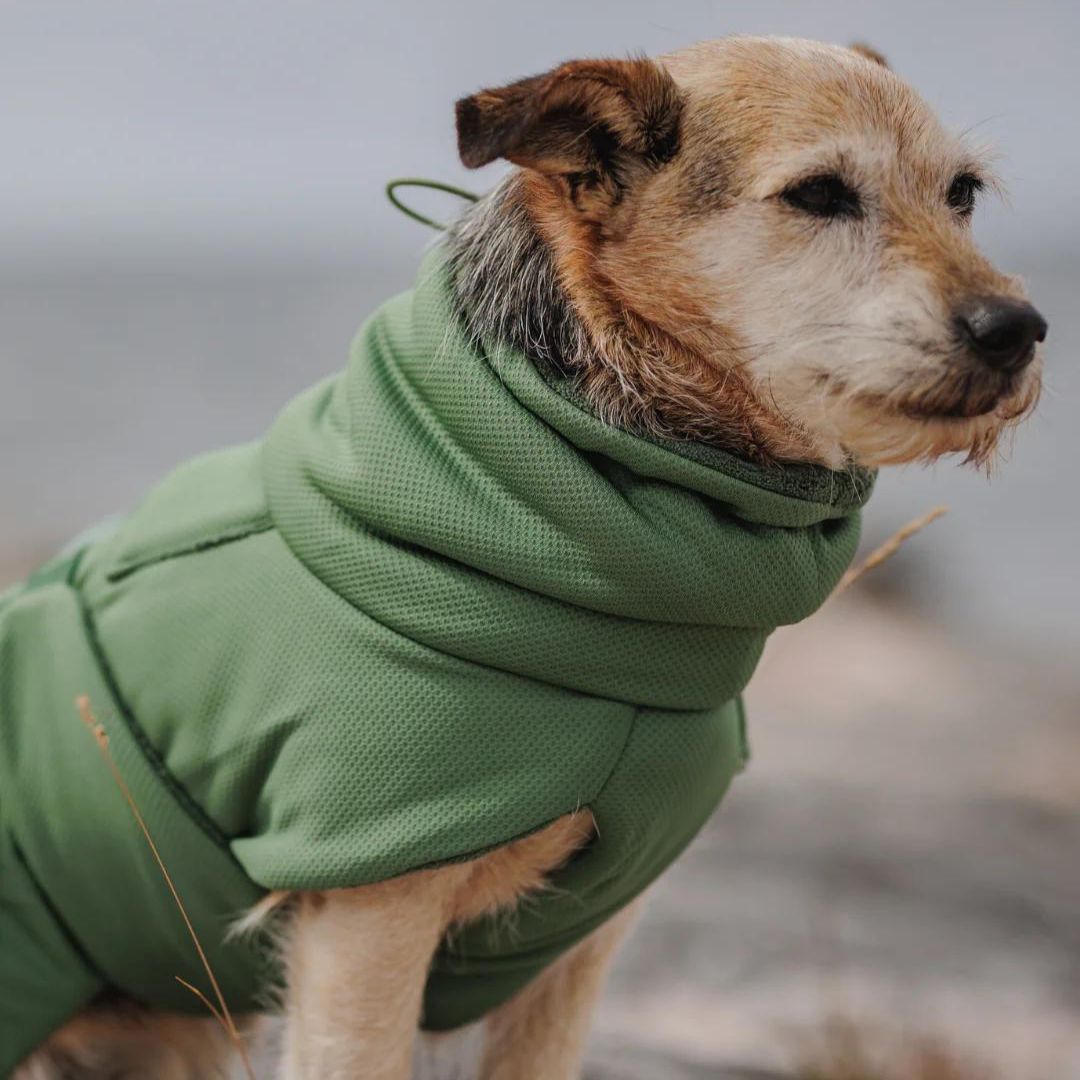 Hundebademantel Drying Coat 2Go Olive