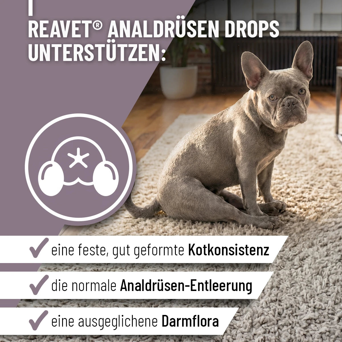 ReaVET-Analdrüsen-Drops-2