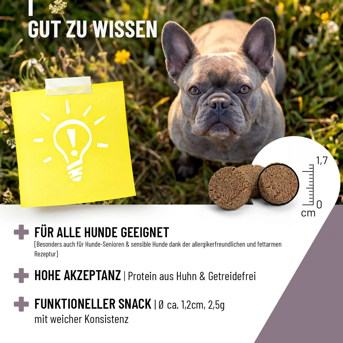 ReaVET-Analdrüsen-Drops-6
