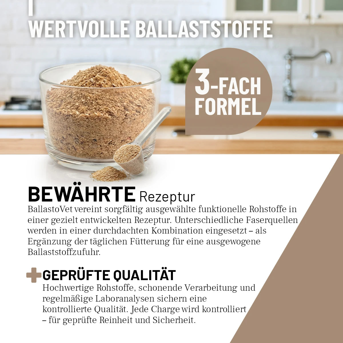 ReaVET-BallastoVET-3