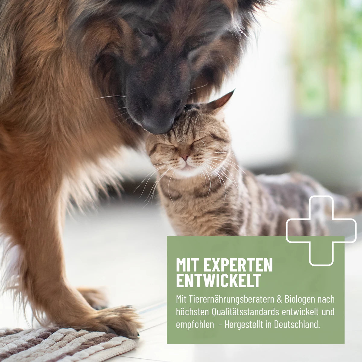 ReaVET-Eierschalenpulver-4