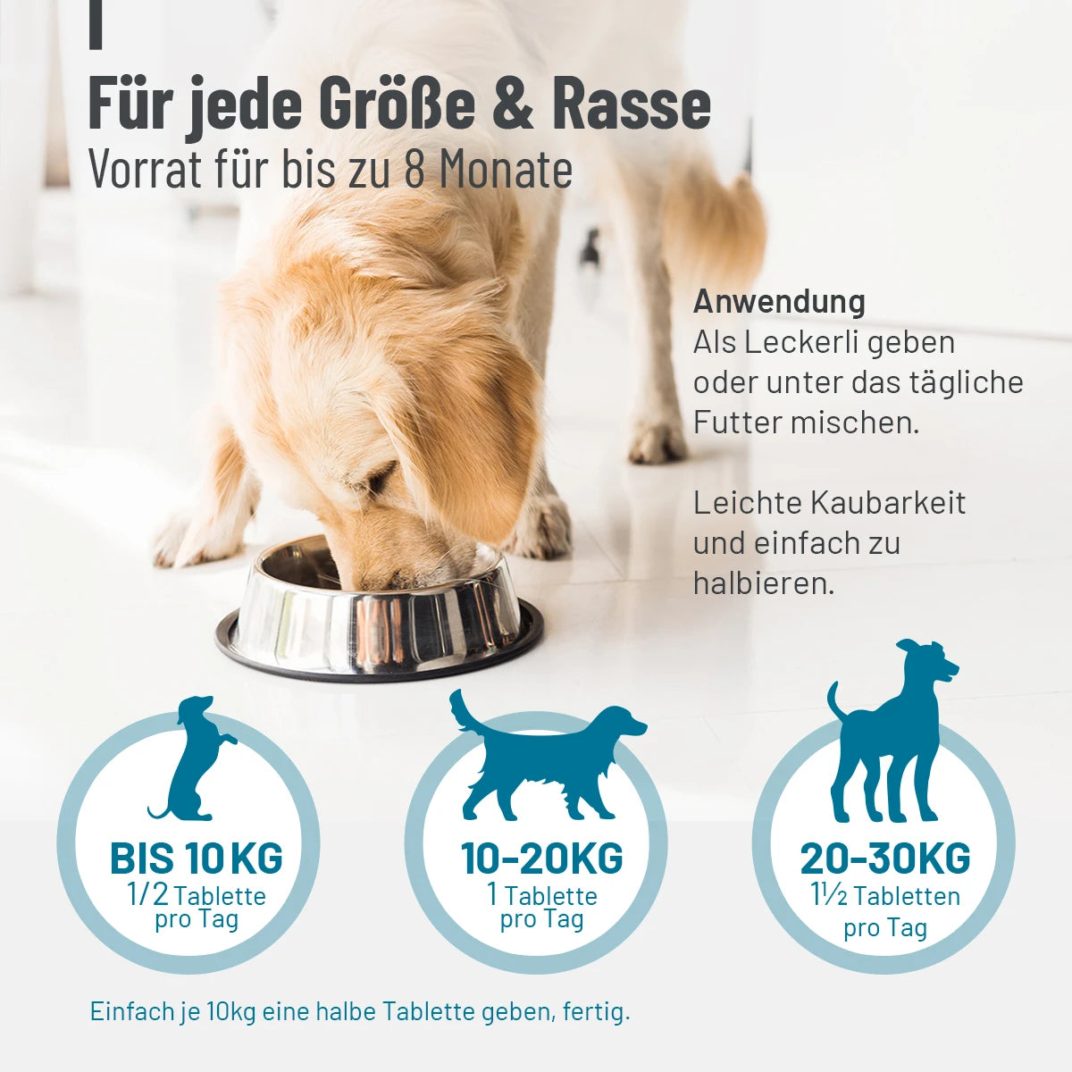 ReaVET-Gelenktabletten-Forte-Fütterung