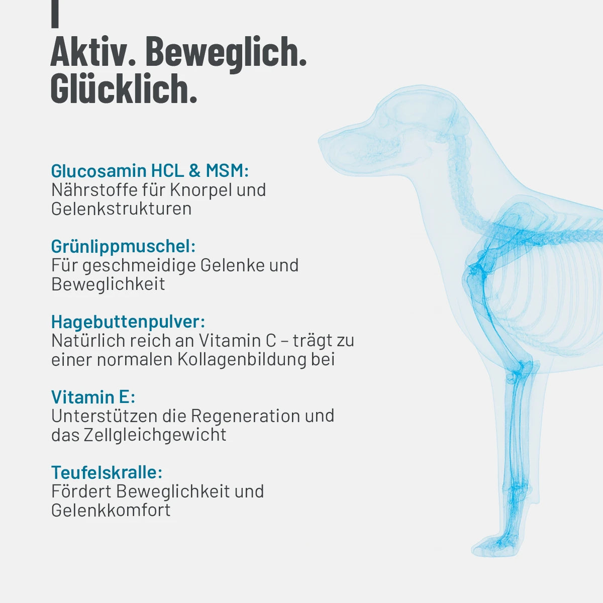 ReaVET-Gelenktabletten-Forte-Inhaltsstoffe