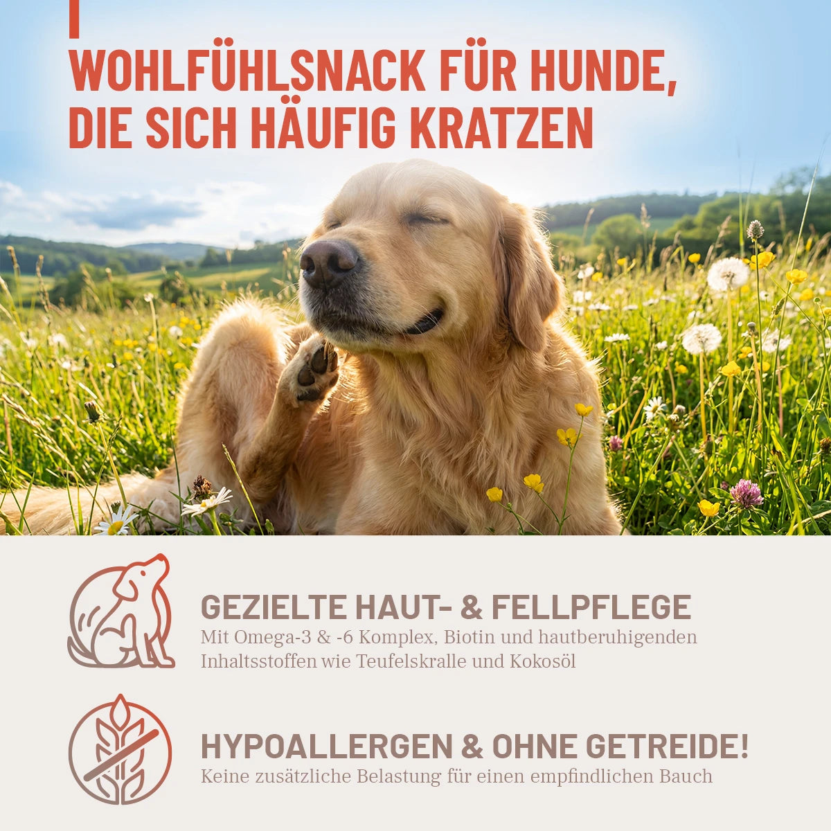 ReaVET-Haut-Fell-Komplex-Drops-2