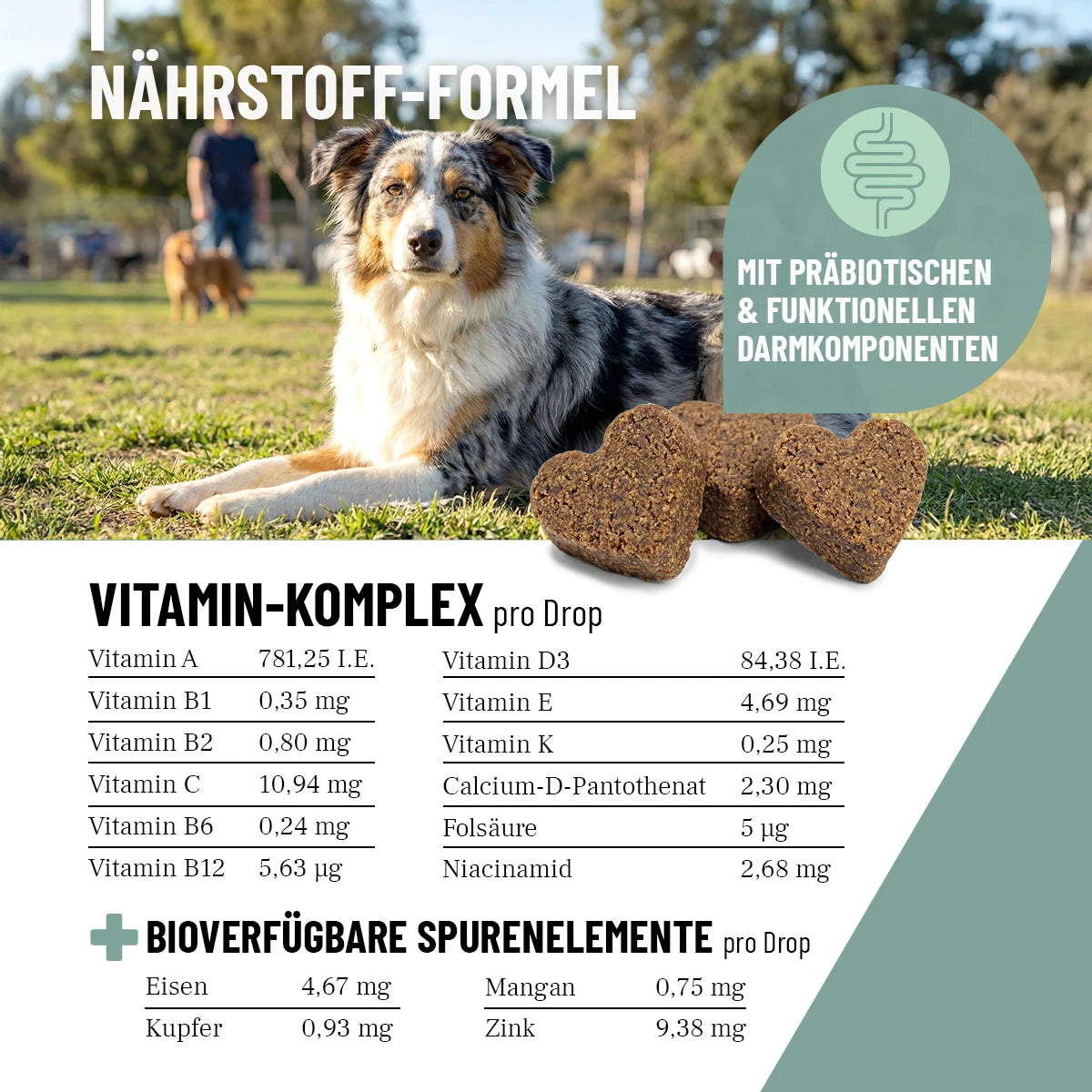 ReaVET-Multivitamin-Drops-3