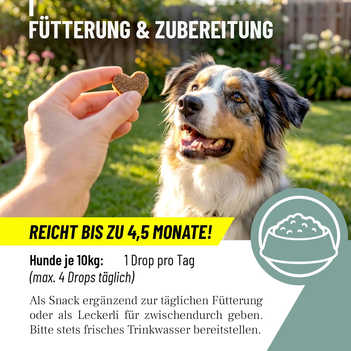 ReaVET-Multivitamin-Drops-4