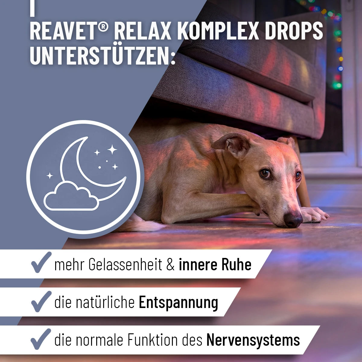 ReaVET-Relax-Komplex-Drops-2