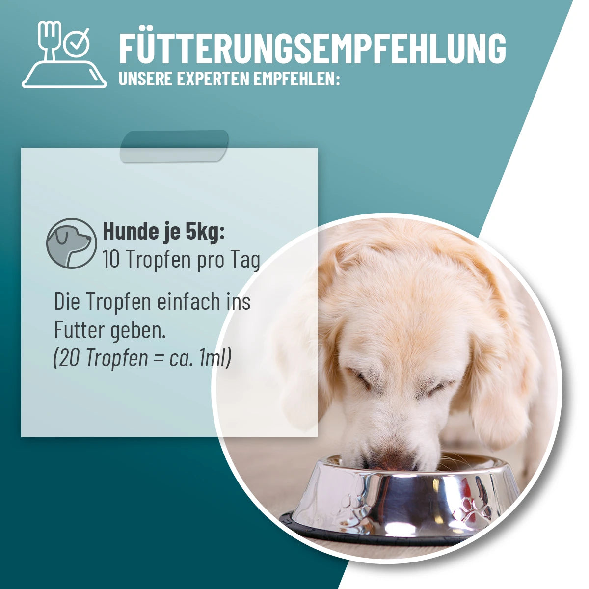 ReaVET-Relax-Liquid-Fütterungsempfehlung