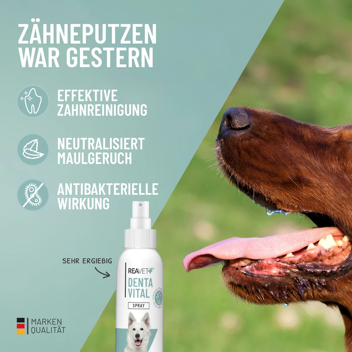 ReaVet-Denta-Vital-Spray-120ml-Vorteil