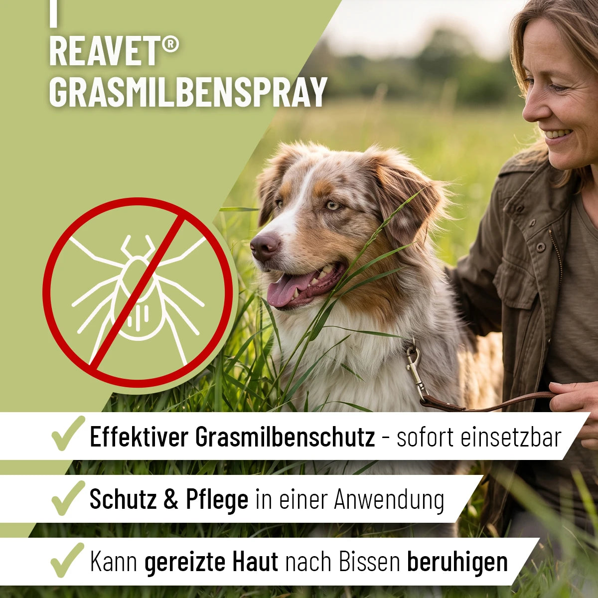 ReaVet-Grasmilben-Spray-2