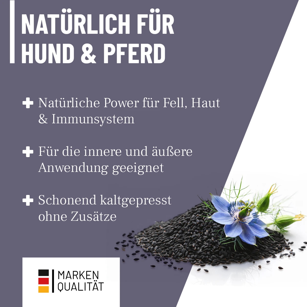 ReaVet-Schwarzkümmelöl-Anwendung