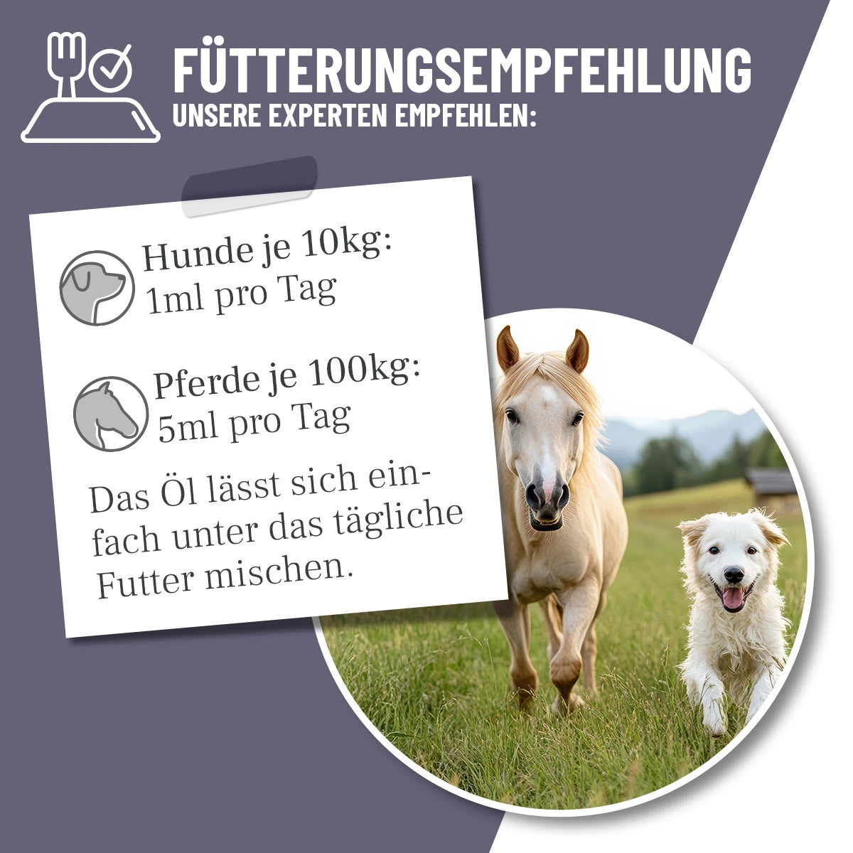 ReaVet-Schwarzkümmelöl-Fütterung