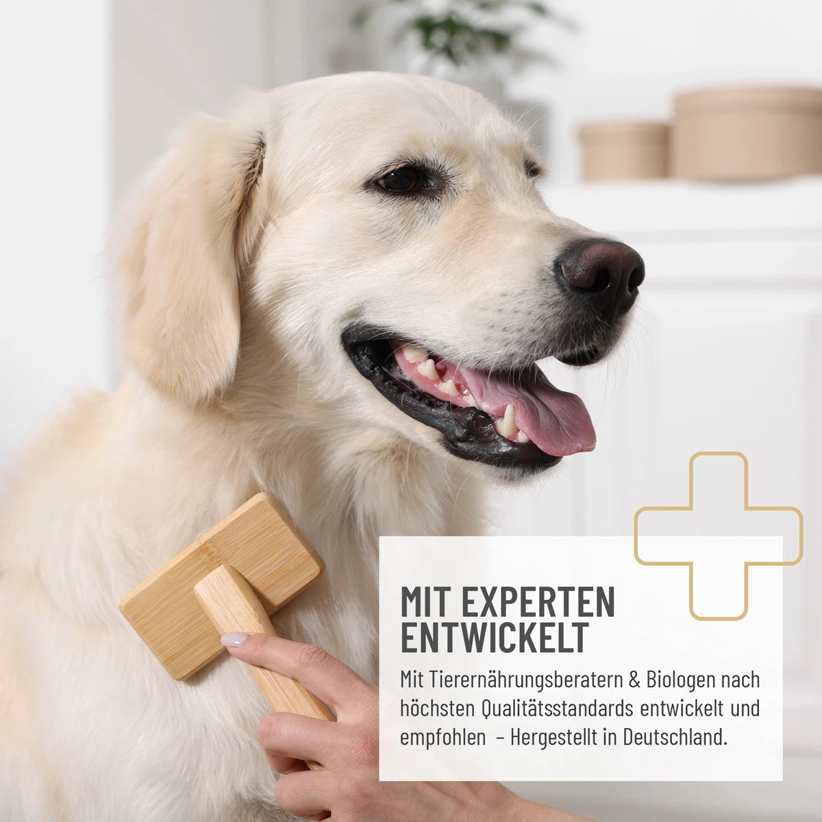 Reavet-Fell-Harmonie-Snack-4