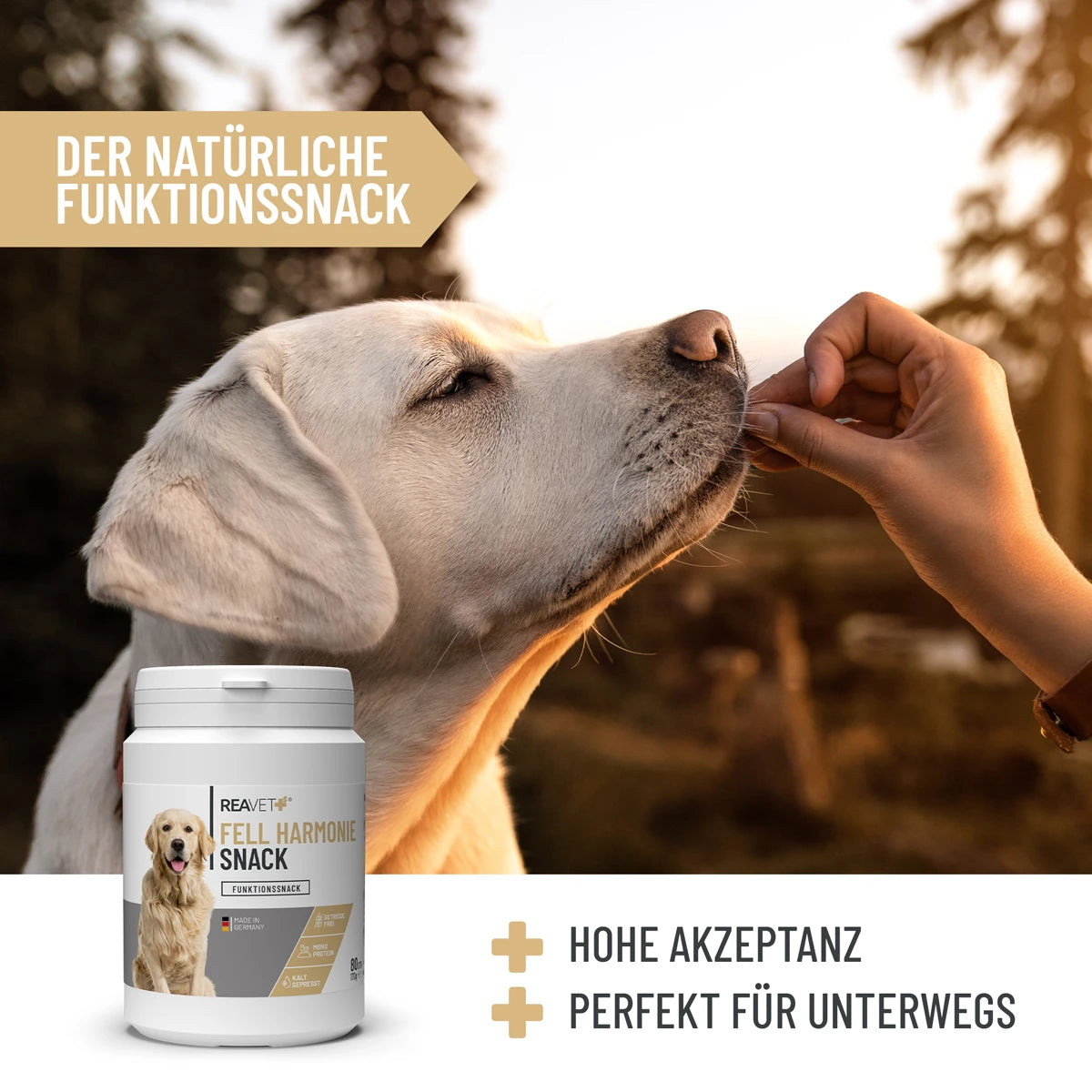 Reavet-Fell-Harmonie-Snack-5