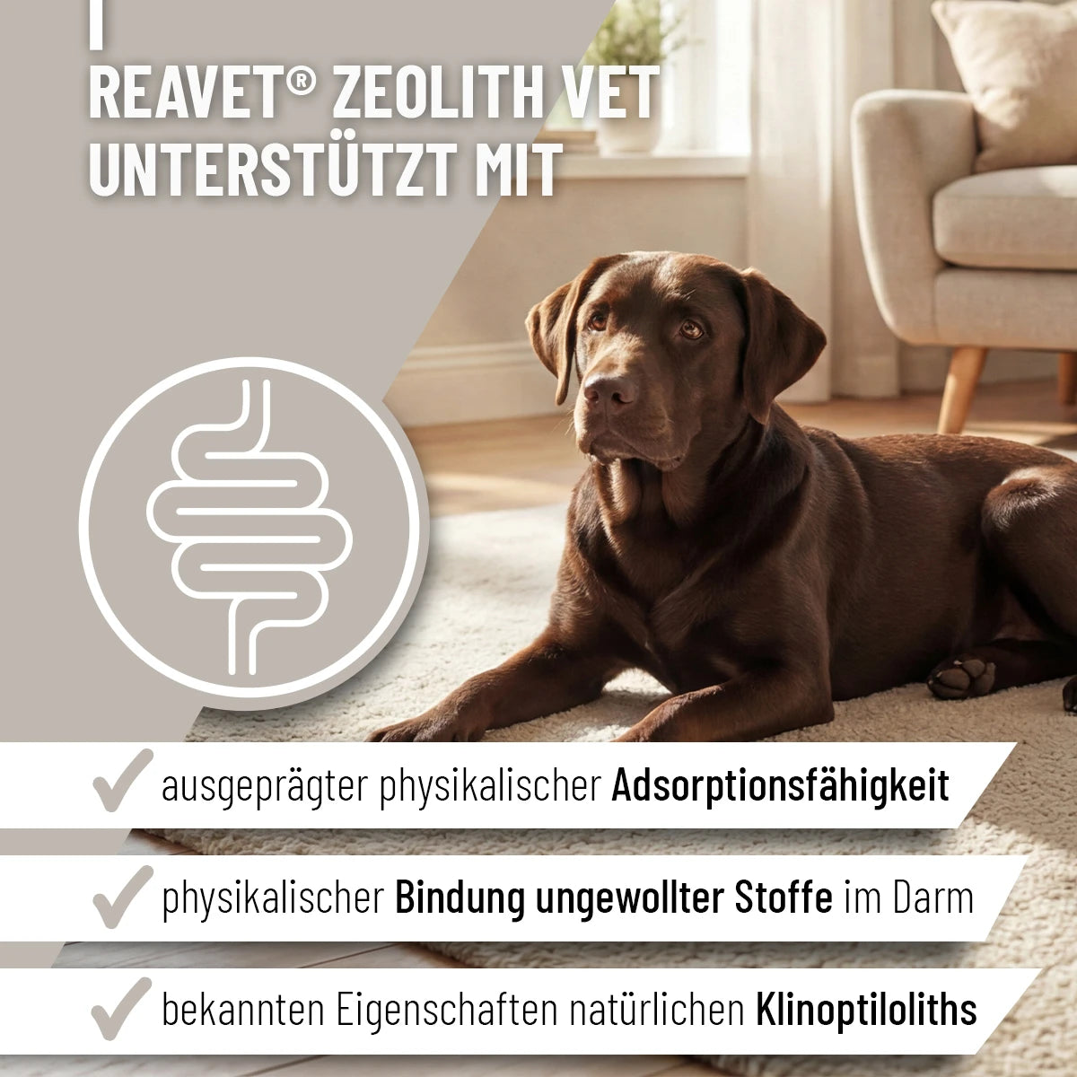 Reavet-Zeolith-Vet-700g-2