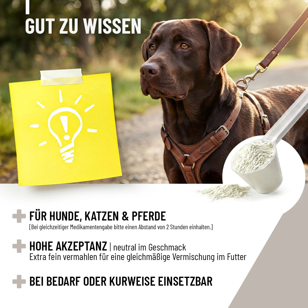 Reavet-Zeolith-Vet-700g-6