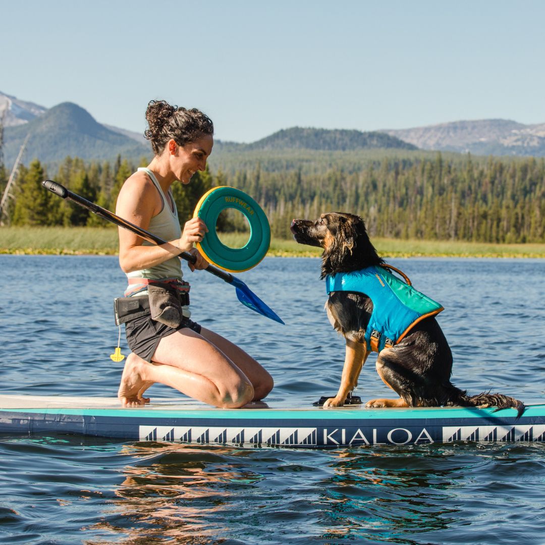 Ruffwear-Hydro-Plane-Blue-Hund