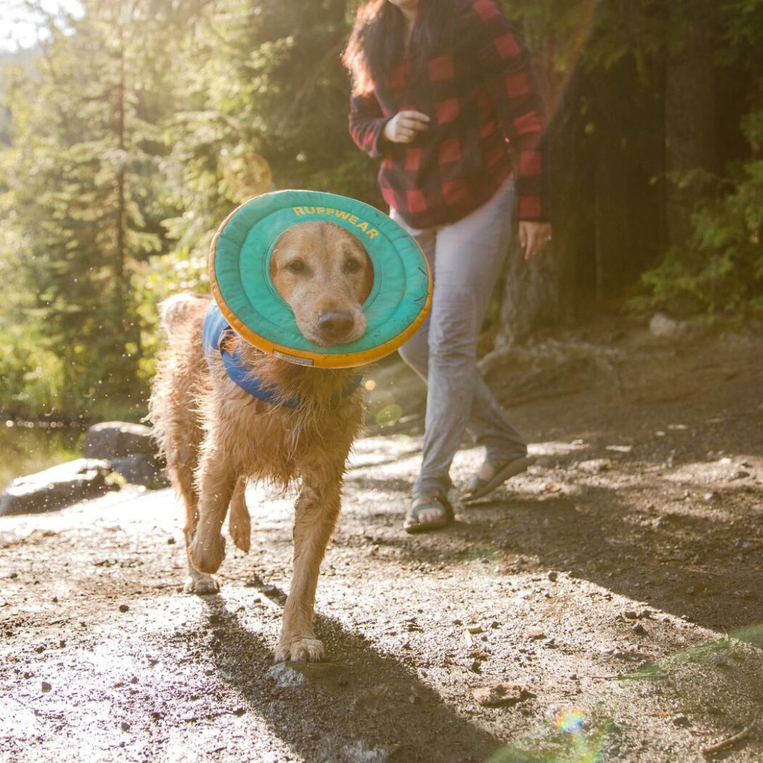 Ruffwear-Hydro-Plane-Blue-Hund2