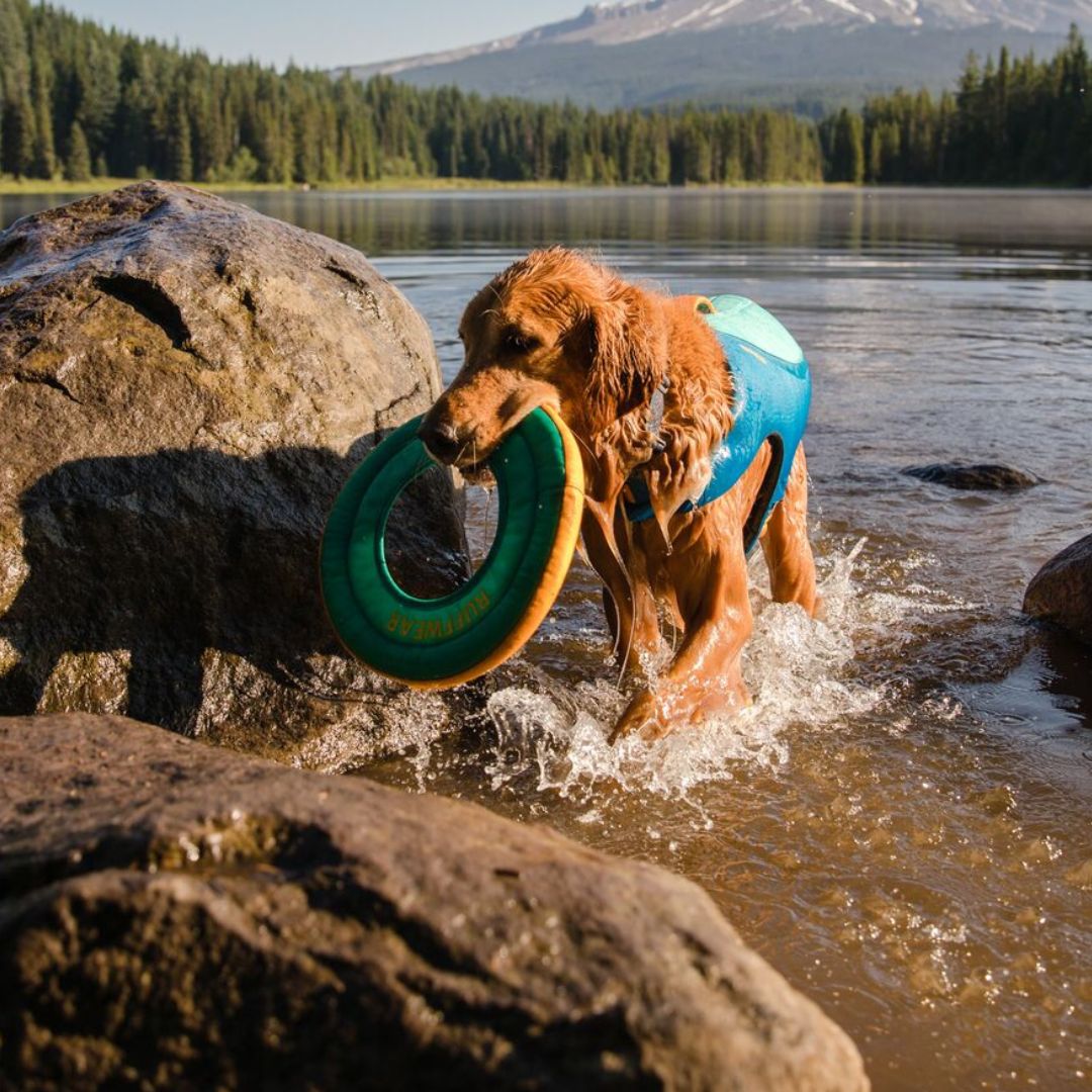 Ruffwear-Hydro-Plane-Blue-Hund3