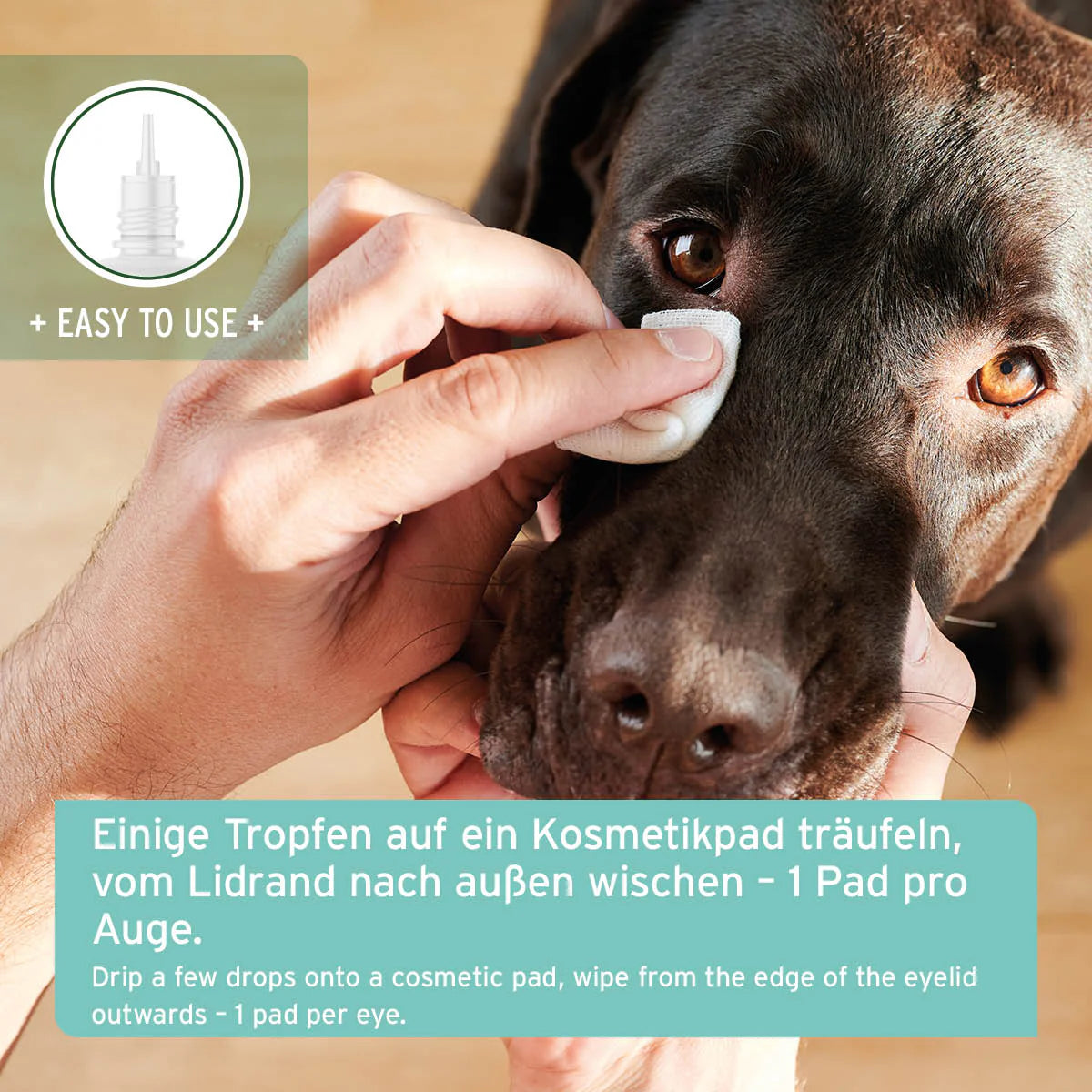Sanfte Augenpflege mit Augentrost