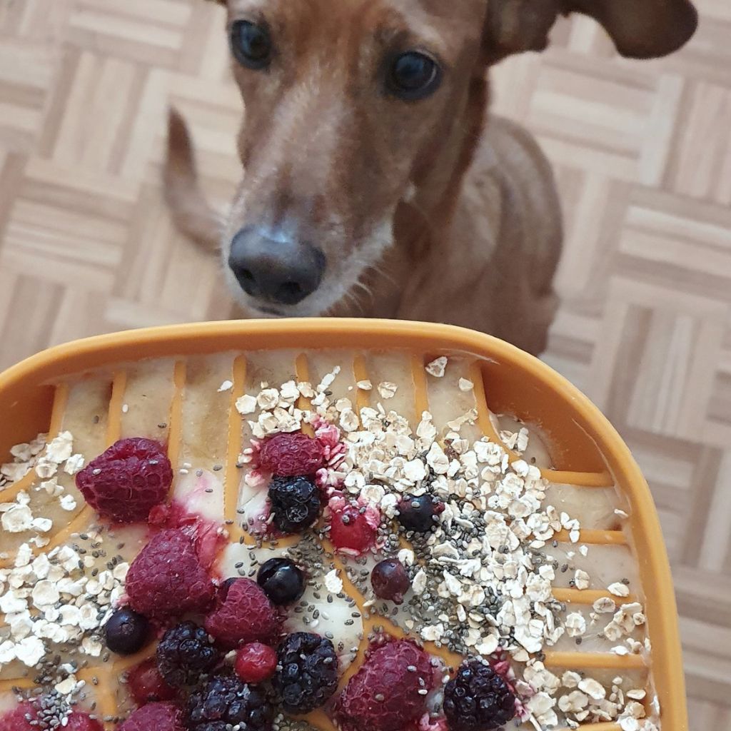 Schleckmatte-Slow-Feeder-Tasty-Amber-Mood3