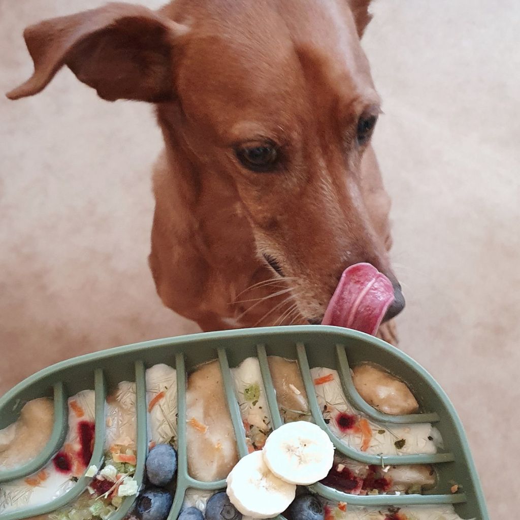 Schleckmatte-Slow-Feeder-Tasty-Olive-Mood2
