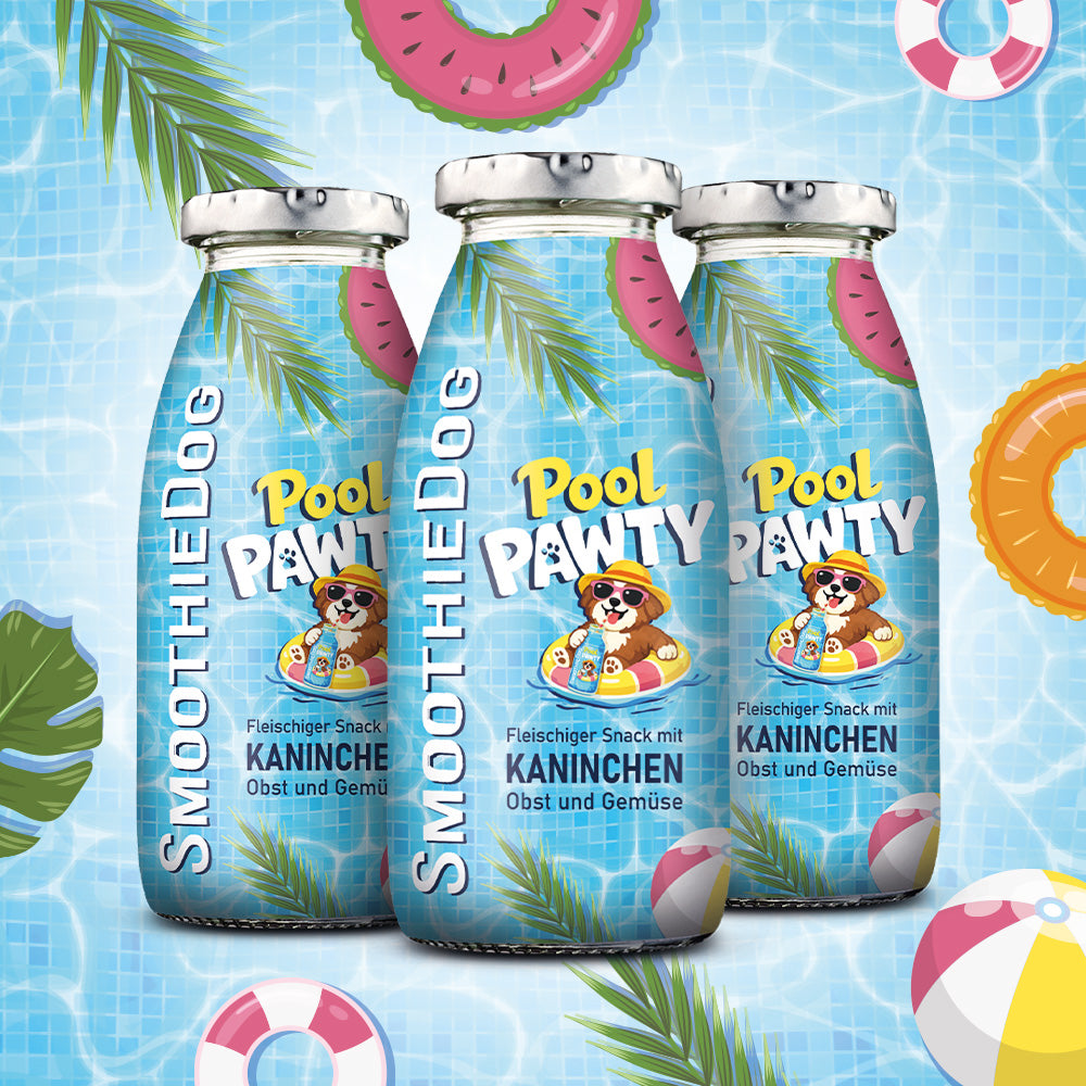 SmoothieDog-Hundesmoothie-Summer-Edition-Pool-Pawty-2