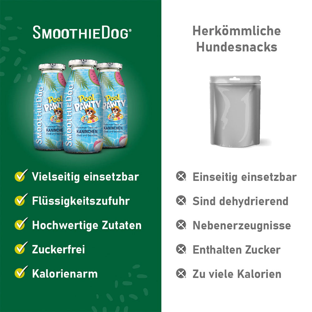 SmoothieDog-Hundesmoothie-Summer-Edition-Pool-Pawty-3