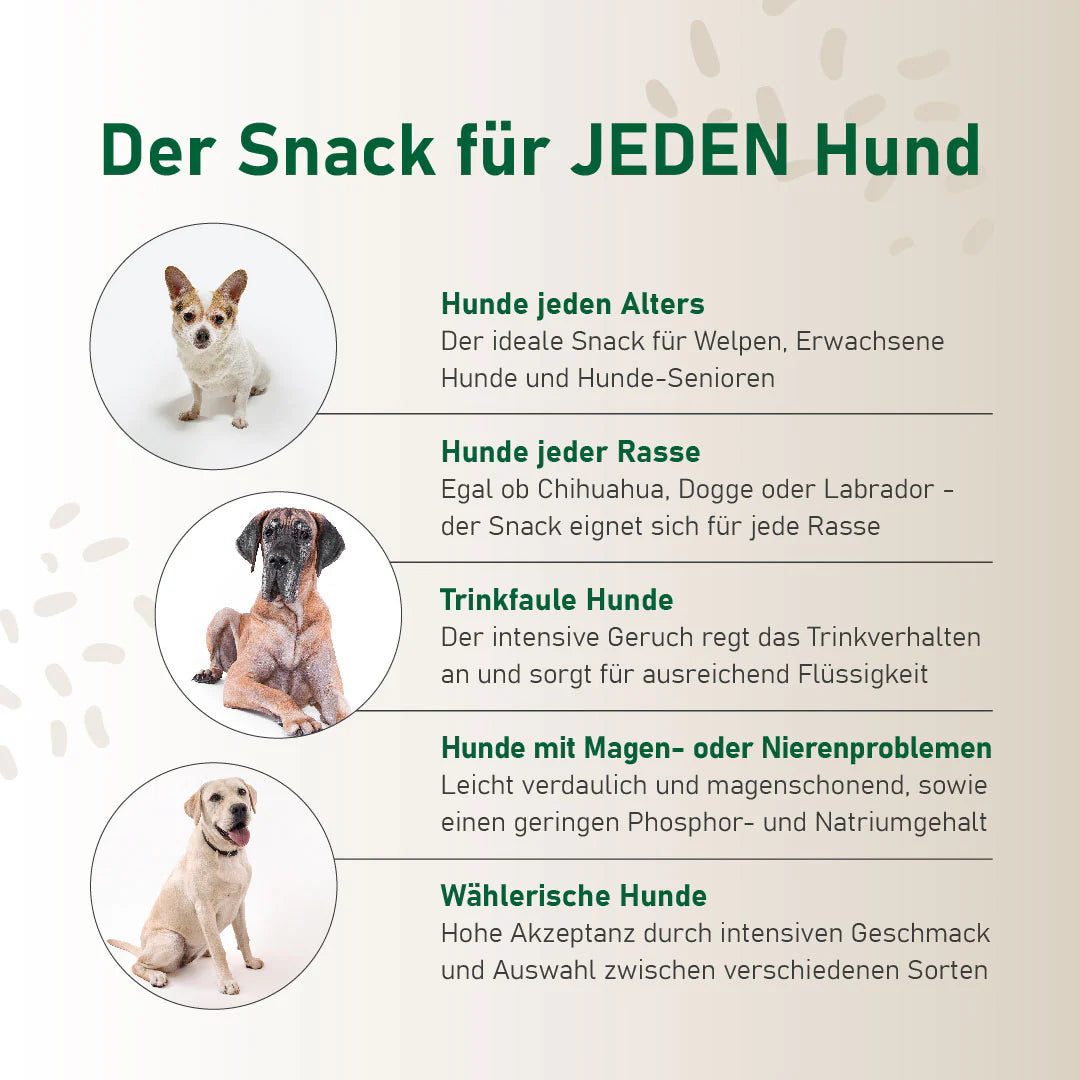SmoothieDog-Hundesmoothie-Winter-Edition-Wild-Detail2