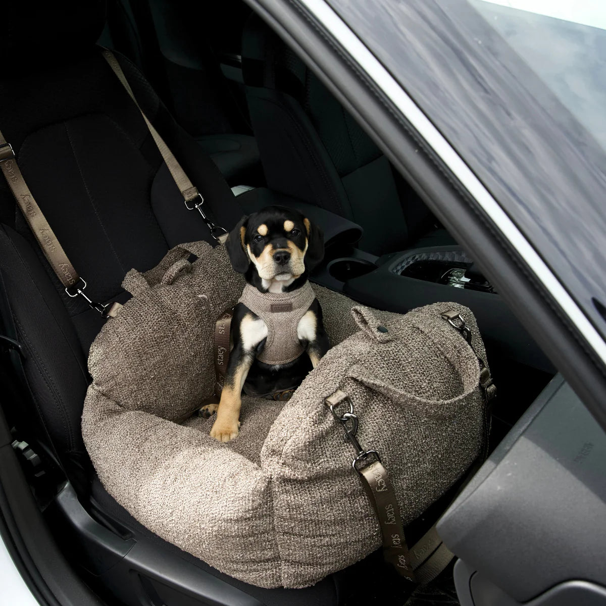 Staey-Hundeautositz-Tova-2-in-1-Chestnut-Bouclé-9
