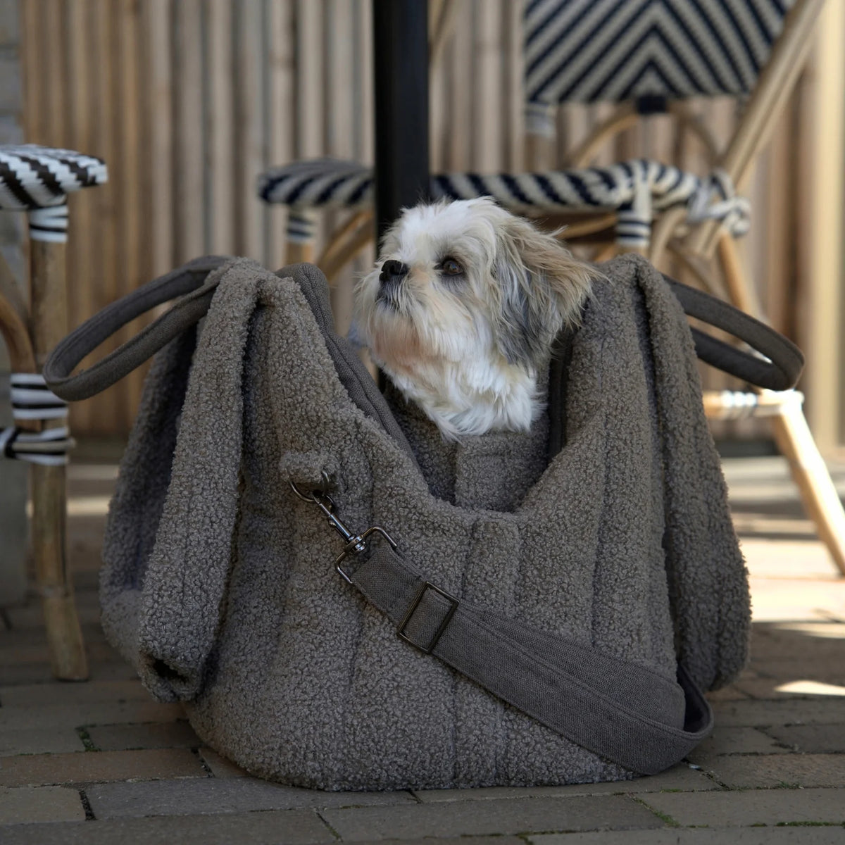 Staey-Hundetragetasche-Ella-Teddy-Taupe-Mood-4