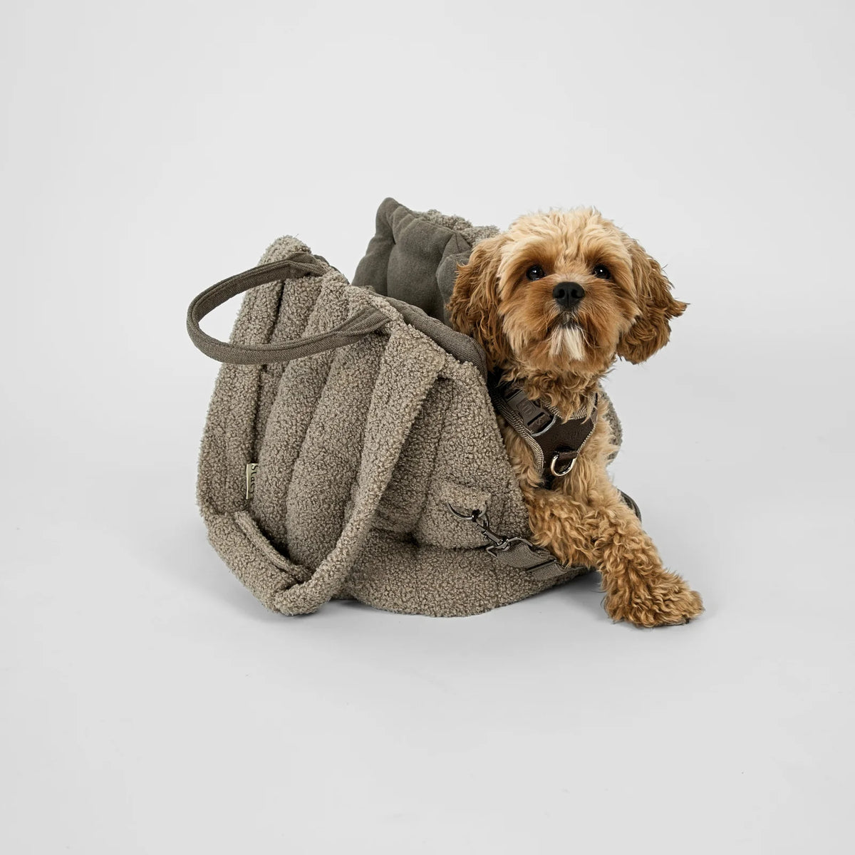 Staey-Hundetragetasche-Ella-Teddy-Taupe-Mood