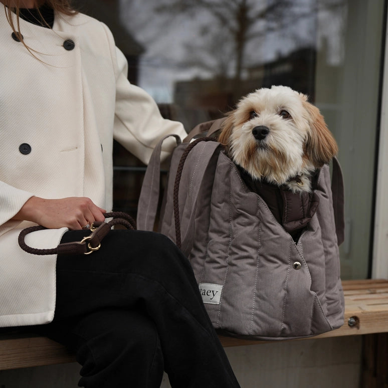 Staey-Hundetragetasche-Elva-Taupe-Mood4