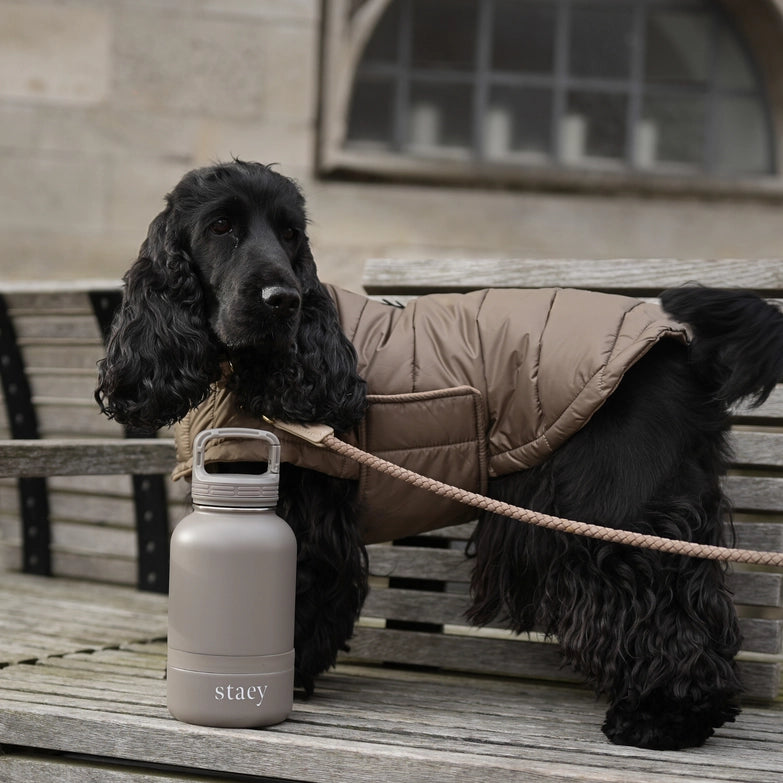 Staey-Hundetrinkflasche-Noona-2-in-1-Mood