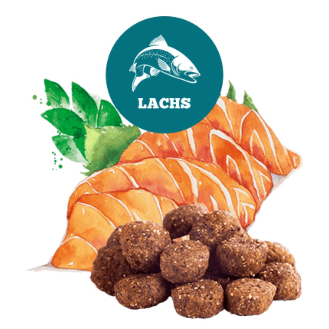 The-Goodstuff-Trockenfutter-Lachs-Adult-Mood