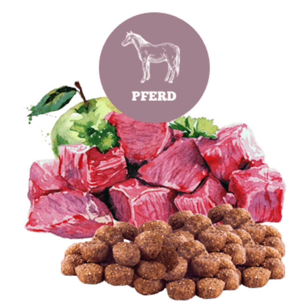 The-Goodstuff-Trockenfutter-Pferd-Adult-Minis-1kg-Mood